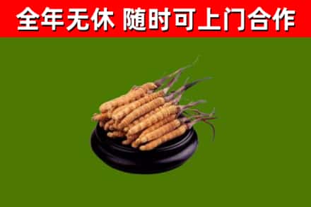华蓥烟酒回收冬虫夏草.jpg